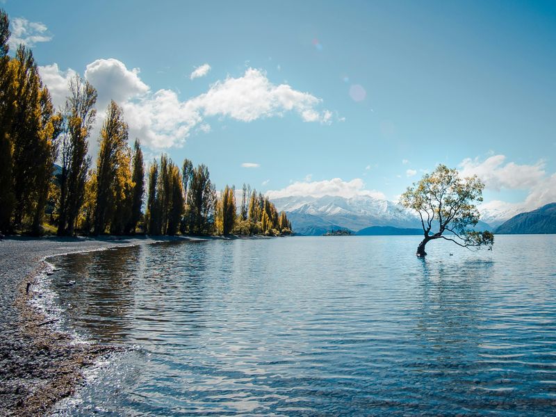 Wanaka, New Zealand